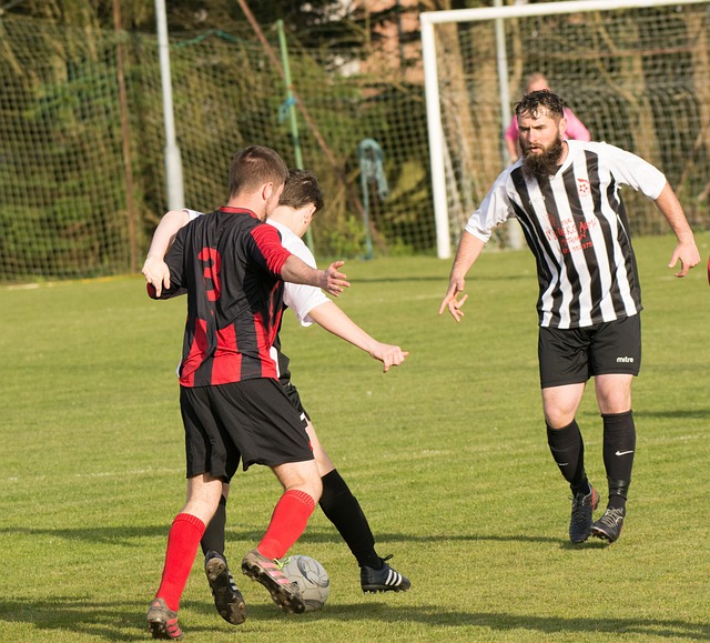 职业生涯 职业生涯