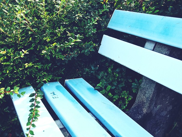 终于拉开帷 终于拉开帷