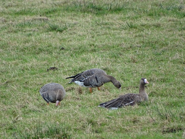左右比赛结 左右比赛结