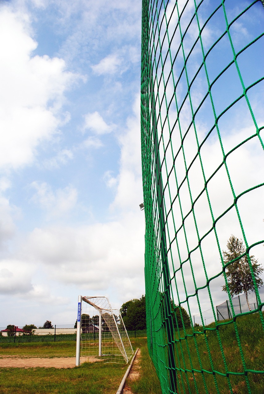 果不僅影響 果不僅影響