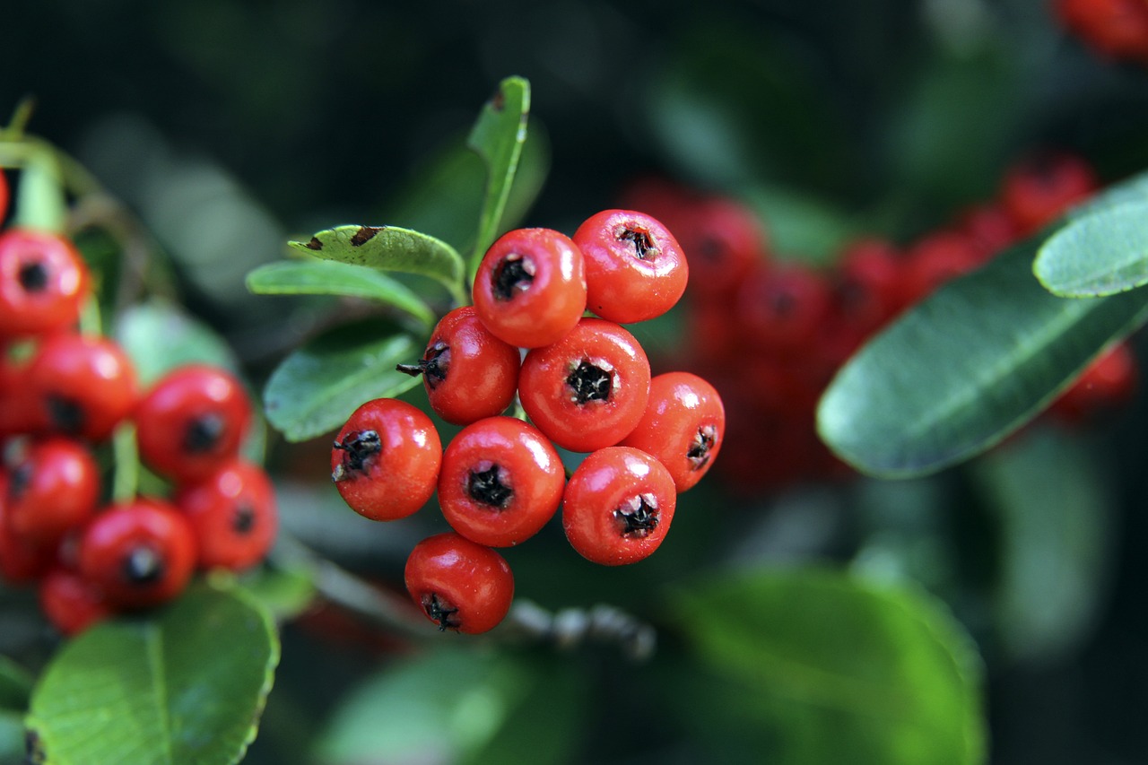 难以预测且 难以预测且