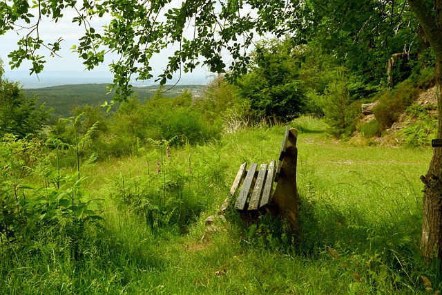 通过举办全 通过举办全